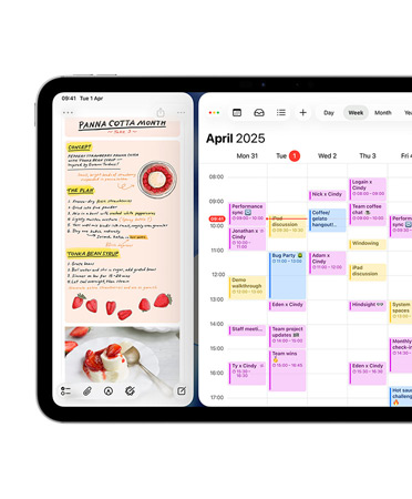 iPad, landscape orientation, left side of screen shows Journal app