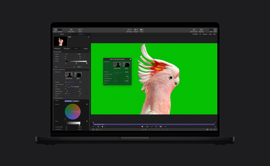 MacBook Pro รุ่น 16 นิ้ว, นกกระตั้วสีชมพูบนหน้าจอสีเขียว, การสาธิตโครมาคีย์