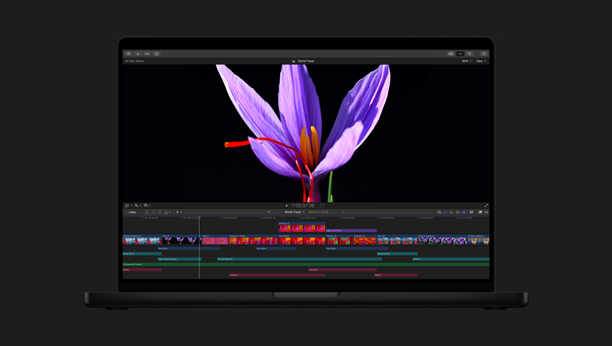 HDR บน MacBook Pro รุ่น 16 นิ้ว, ภาพระยะใกล้ของดอกไม้สีม่วงที่มีเกสรสีแดง