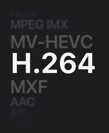 แสดงรายการไฟล์ MPEG IMX, MV-HEVC, H.264, MXF, AAC